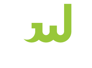 Georgia Civil Works